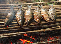 cooking-fish